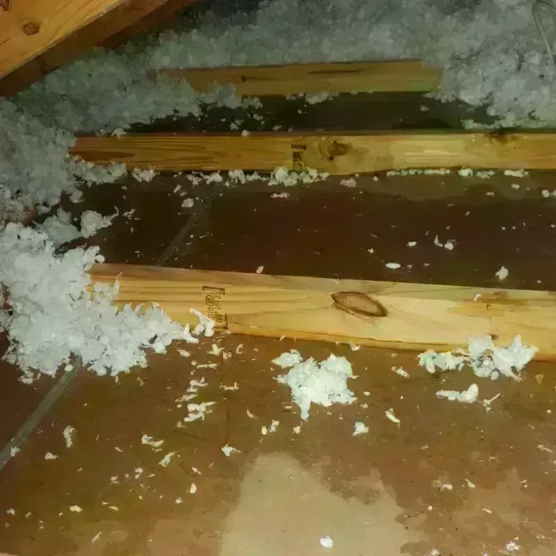 Attic Water Damage in Glenside, PA